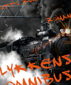 Lykkens omnibus (Bog)