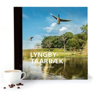 Lyngby-taarbæk - Flere Fragmenter - Morten Ehrhorn - Bog