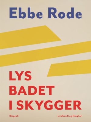 Lys badet i skygger (E-bog)
