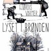 Lyset i brønden (E-bog)