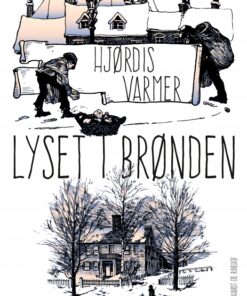 Lyset i brønden (E-bog)