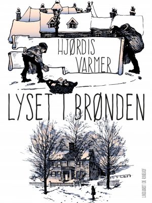 Lyset i brønden (E-bog)