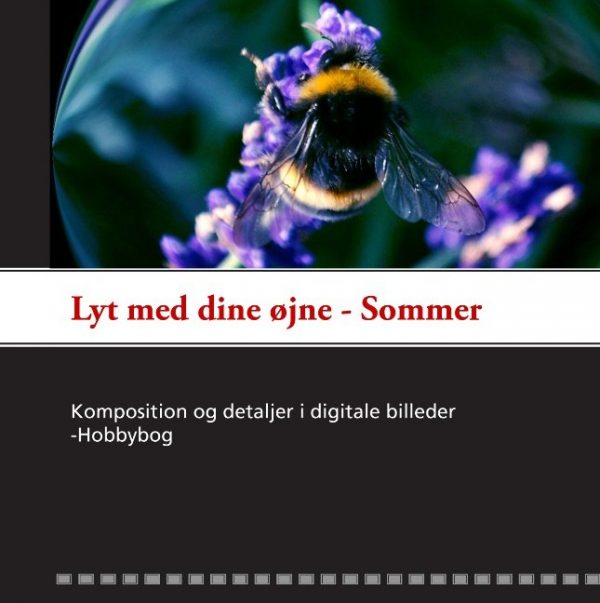 Lyt Med Dine øjne - Sommer - Vibeke Gudmann Olsen - Bog