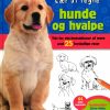 Lær at tegne hunde (Bog)