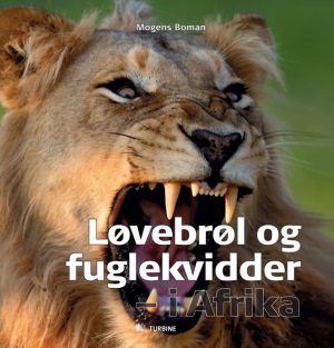 Løvebrøl og fuglekvidder - i Afrika (Bog)