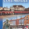 Magnifique Copenhague, Fransk (2014) (Bog)