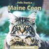 Maine Coon (Bog)