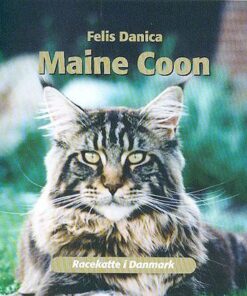 Maine Coon (Bog)