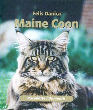 Maine Coon (Bog)