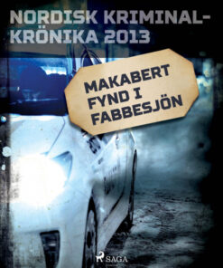 Makabert fynd i Fabbesjön (E-bog)