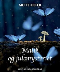 Malik og julemysteriet