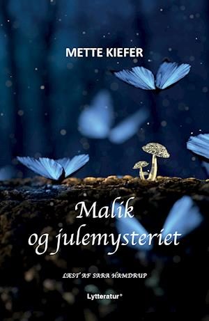 Malik og julemysteriet