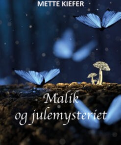 Malik og julemysteriet (Bog)