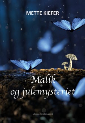 Malik og julemysteriet (Bog)