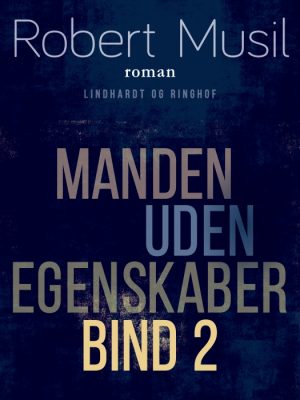 Manden uden egenskaber - Bind 2 (Bog)