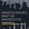 Mangfoldighed, magt og minoriteter (Bog)