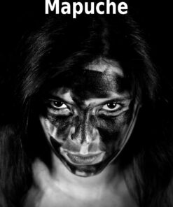 Mapuche - Caryl Férey - Bog