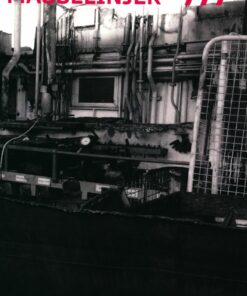 Masselinjer - Steffen Baunbæk - Bog