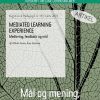 Mediated Learning Experience (E-bog)