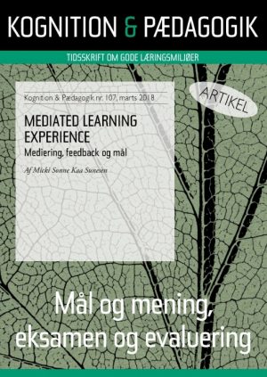 Mediated Learning Experience (E-bog)