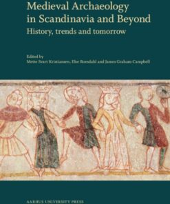 Medieval Archaeology in Scandinavia and Beyond (Bog)