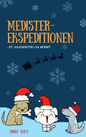 Medister-ekspeditionen (Bog)