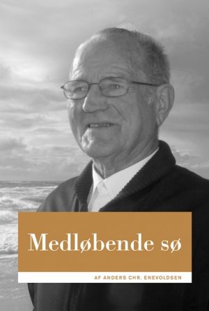 Medløbende sø (E-bog)