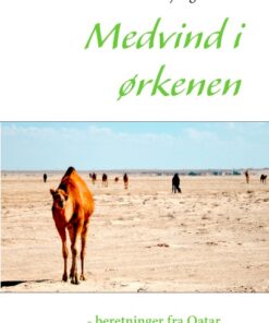 Medvind i ørkenen - beretninger fra Qatar (Bog)