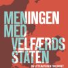 Meningen med velfærdsstaten (E-bog)
