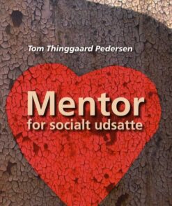 Mentor for socialt udsatte (Bog)