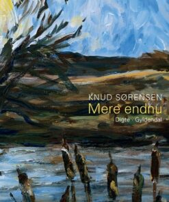 Mere Endnu - Knud Sørensen - Bog