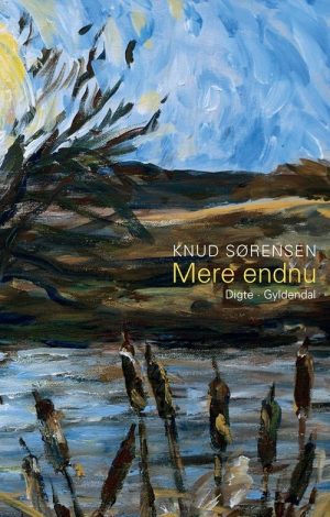 Mere Endnu - Knud Sørensen - Bog