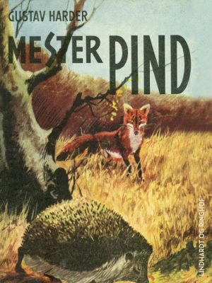 Mester pind (E-bog)