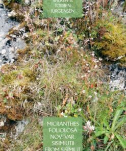 Micranthes foliolosa nov. var. sisimiutii from Sisimiut, Greenland (Bog)