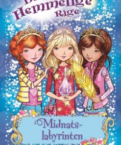 Midnatslabyrinten (Bog)