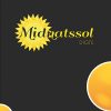 Midnatssol - Christian Teisner - Bog