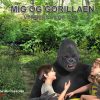 Mig og gorillaen (E-bog)