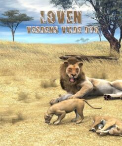 Mig og løven (E-bog)