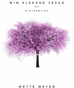 Min Elskede Jesus - Mette Meyer - Bog