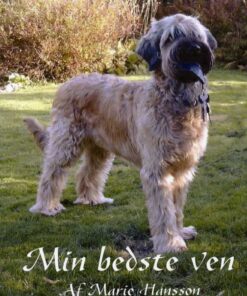 Min bedste ven (Bog)