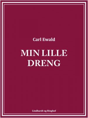 Min lille dreng (E-bog)