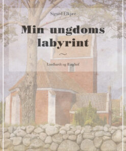 Min ungdoms labyrint (Bog)
