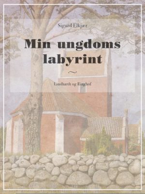 Min ungdoms labyrint (Bog)