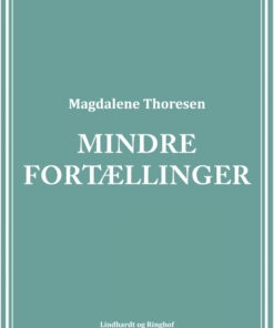 Mindre fortællinger (Bog)