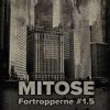 Mitose - Brandon Sanderson - Bog
