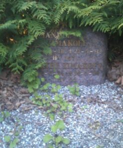 Mod bedre vidende (E-bog)