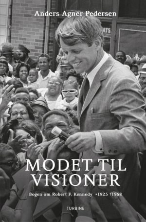 Modet til visioner (E-bog)
