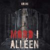 Mord i alléen (E-bog)