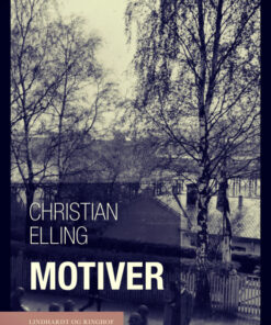 Motiver (E-bog)