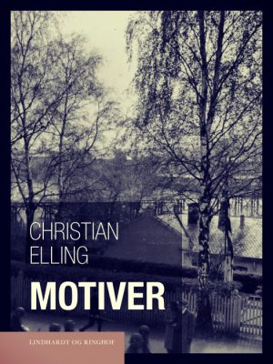 Motiver (E-bog)